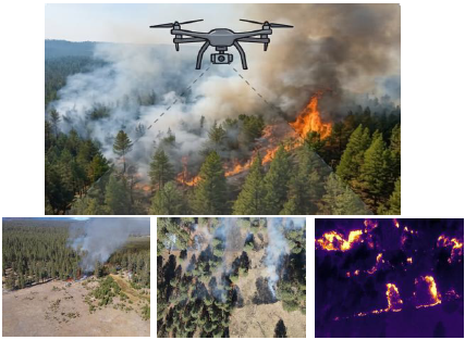 Wildfire Monitoring